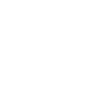 Revi signature